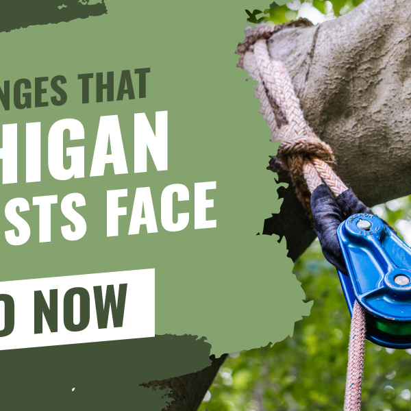 Challenges that Michigan Arborists Face