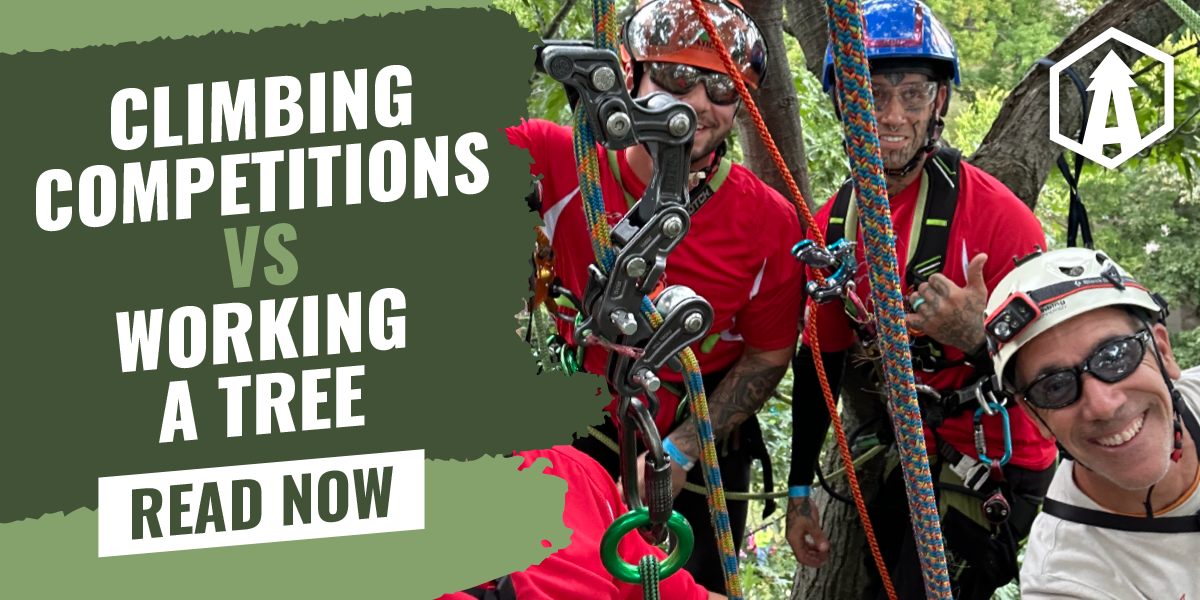 Same But Different: Climbing Competitions vs Working a Tree