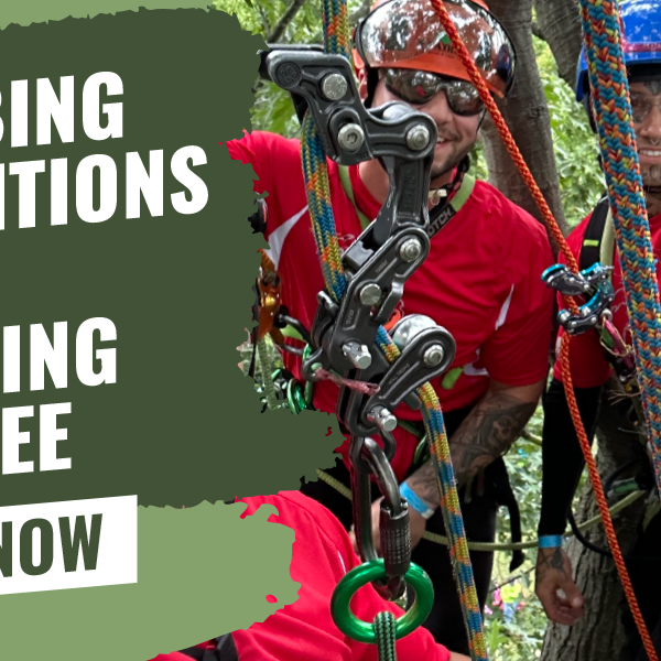 Same But Different: Climbing Competitions vs Working a Tree