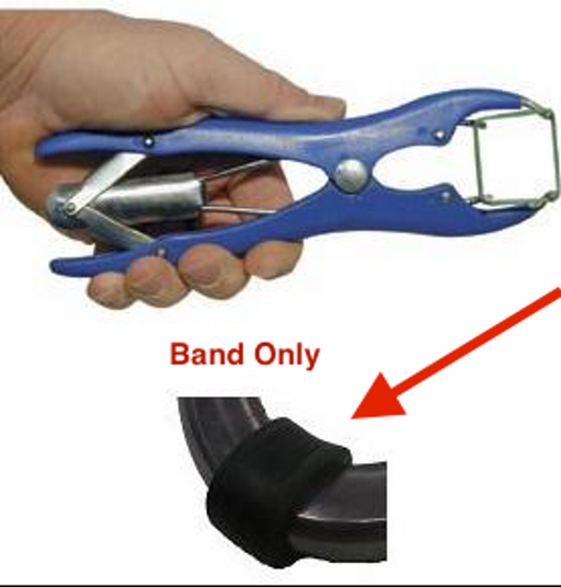 Rubber Banding - Individual Band Only