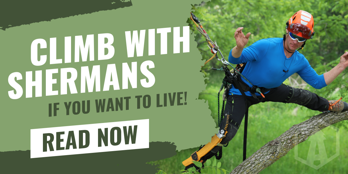 Climb with Shermans If You Want to Live!