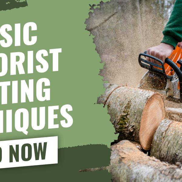 Making the right cut: Basic Cutting Techniques