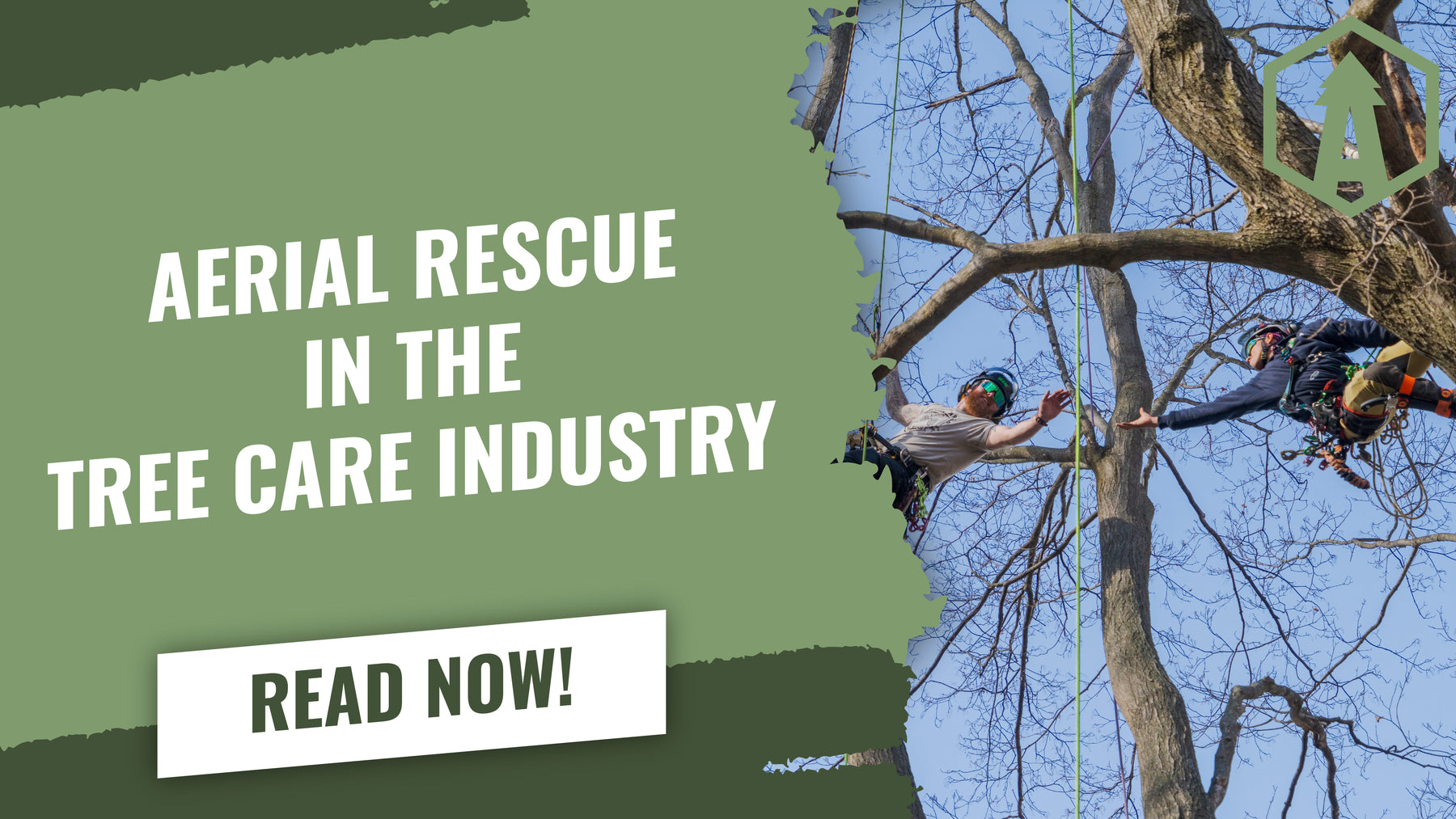 Are you ready for the Unexpected? | Aerial Rescue — Bartlett Arborist ...