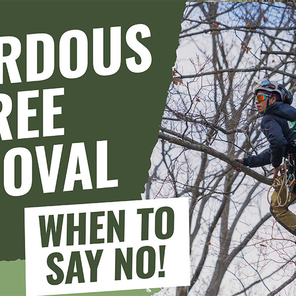 Hazardous Removal | When to say no!