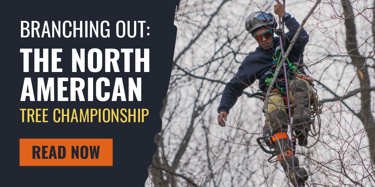 The Thrill of Being at the North American Tree Climbing Championships ...
