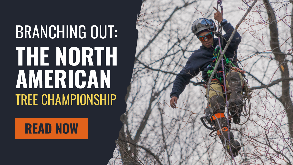 The Thrill of Being at the North American Tree Climbing Championships ...