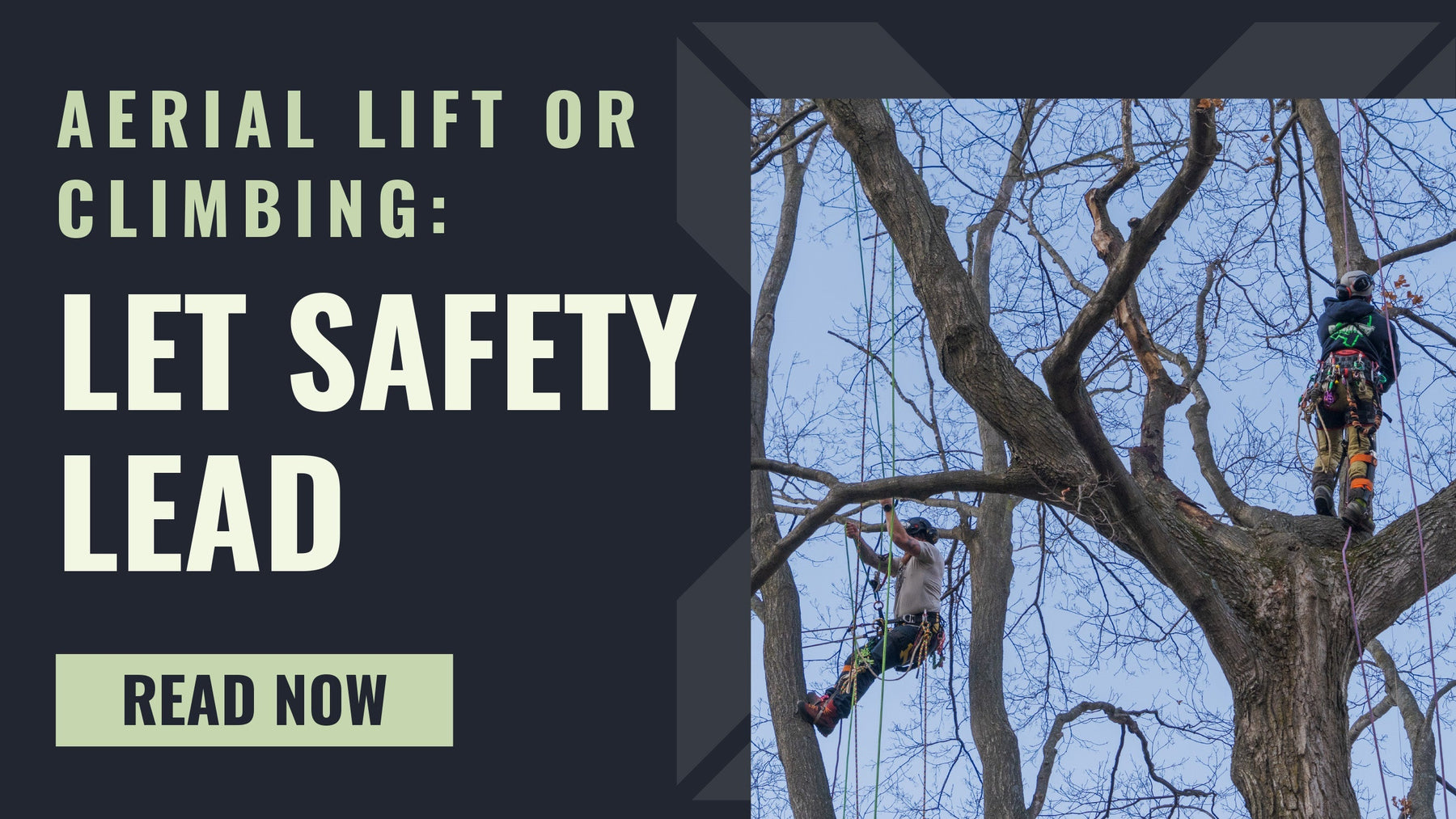 Knowing When to Use an Aerial Lift Instead of Climbing: A Strategic Approach for Modern Arboriculture