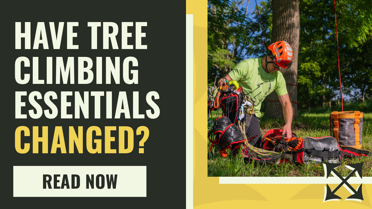 Have Tree Climbing Essentials Changed? What Arborists Actually Need in 2026