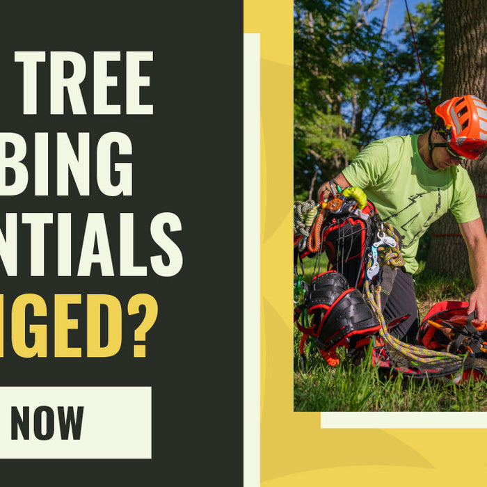 Have Tree Climbing Essentials Changed? What Arborists Actually Need in 2026