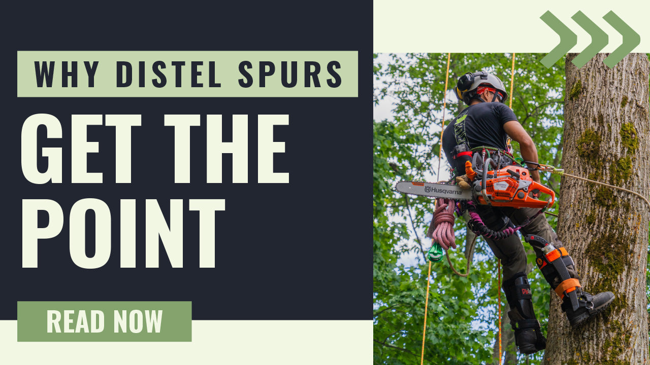 Distel Tree Climbing Spikes: Why Arborists Keep Coming Back to These German-Made Spurs