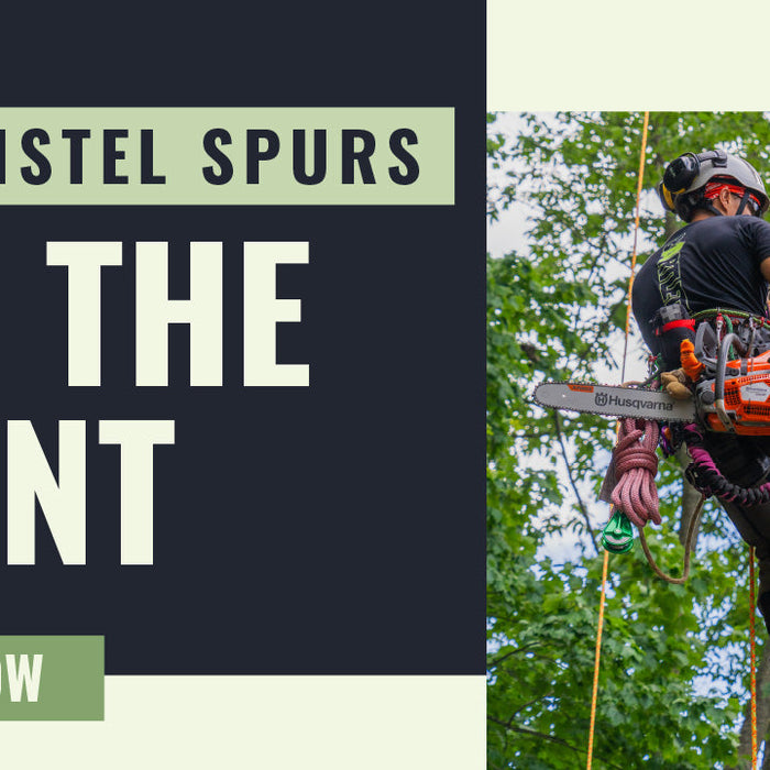 Distel Tree Climbing Spikes: Why Arborists Keep Coming Back to These German-Made Spurs