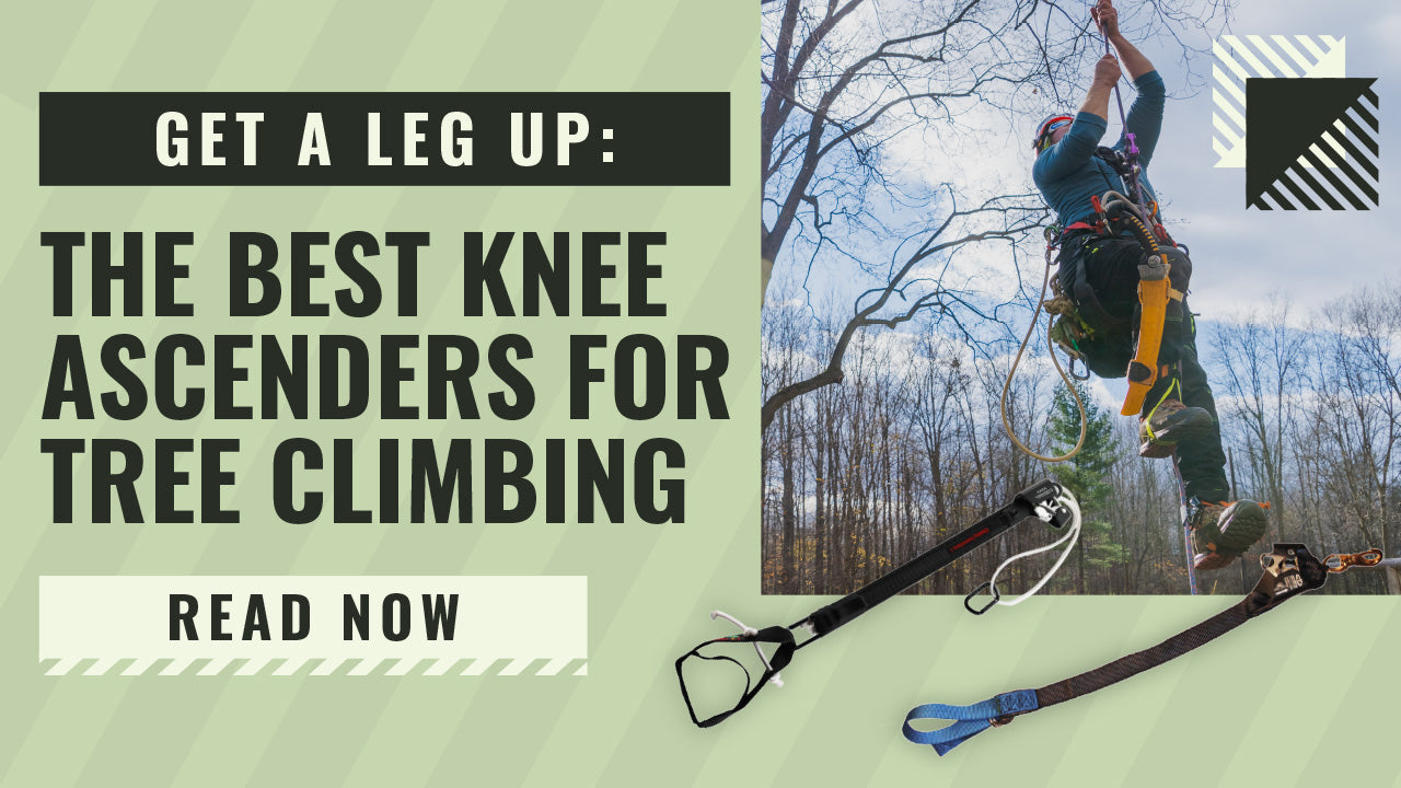 The Best Knee Ascenders for Aborists: HAAS Velox vs. SAKA vs. DIY