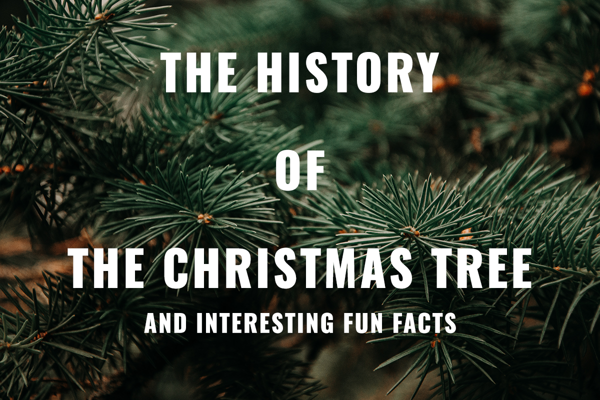 The History of the Christmas Tree — Bartlett Arborist Supply