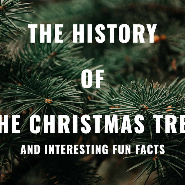 The History of the Christmas Tree