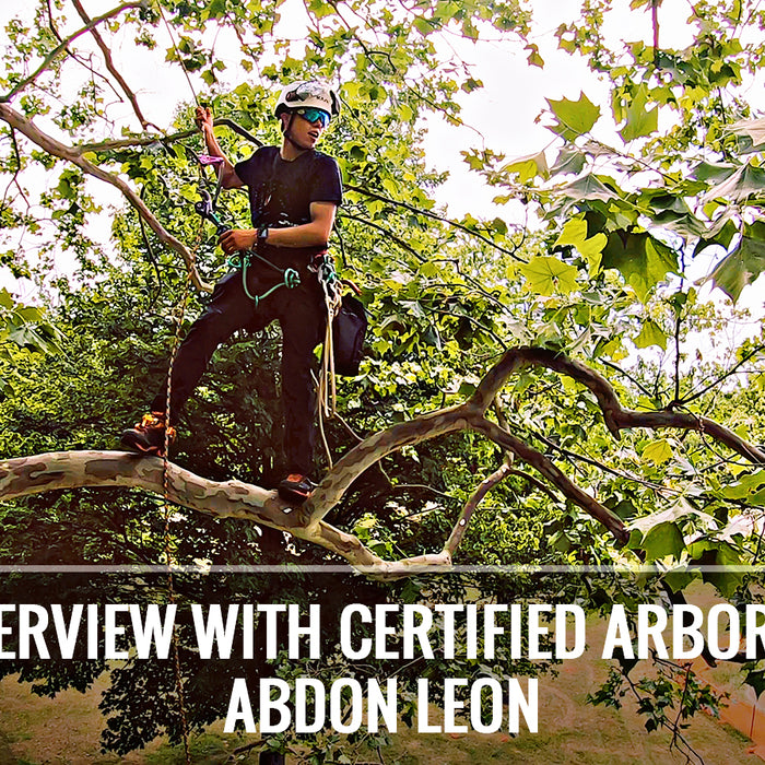 Interview with Certified Arborist Abdon Leon of Team Bartlett
