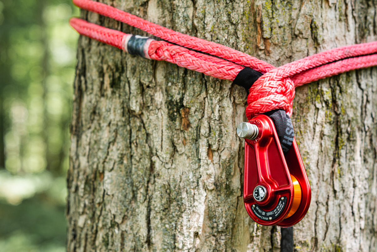 Blocks or Rings: Which Rigging Hardware is Best? — Bartlett Arborist Supply