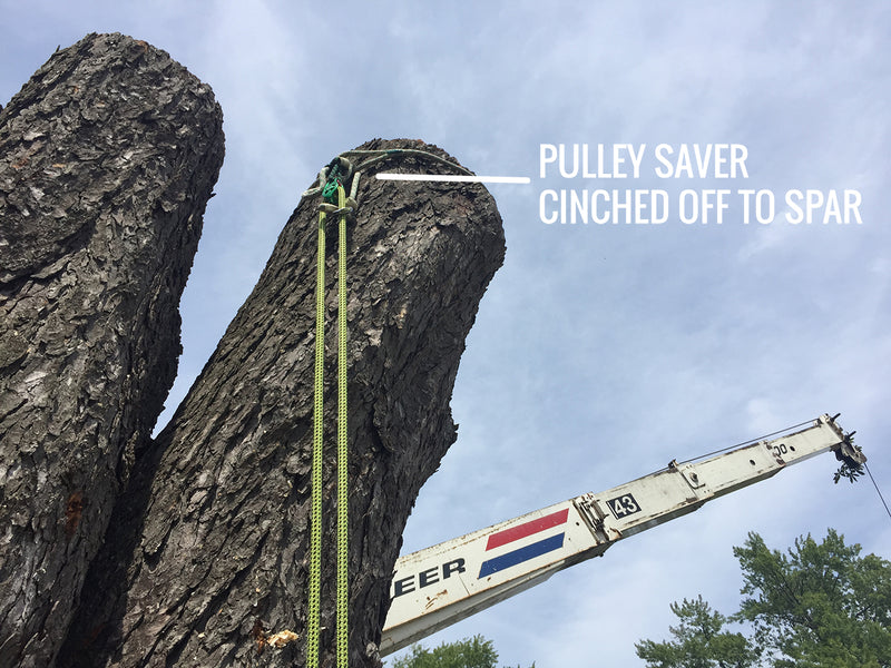 Advantages and Disadvantages of Friction Savers — Bartlett Arborist Supply