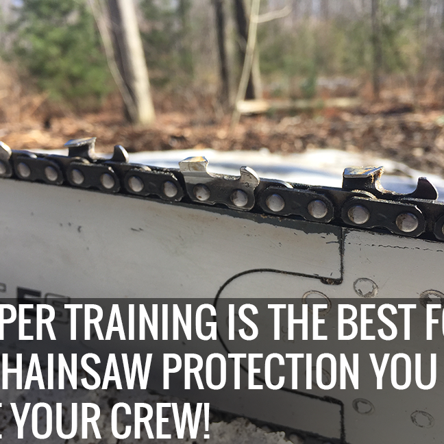 Proper Use of Cutting Tools: Chainsaw Training and Handsaw Safety