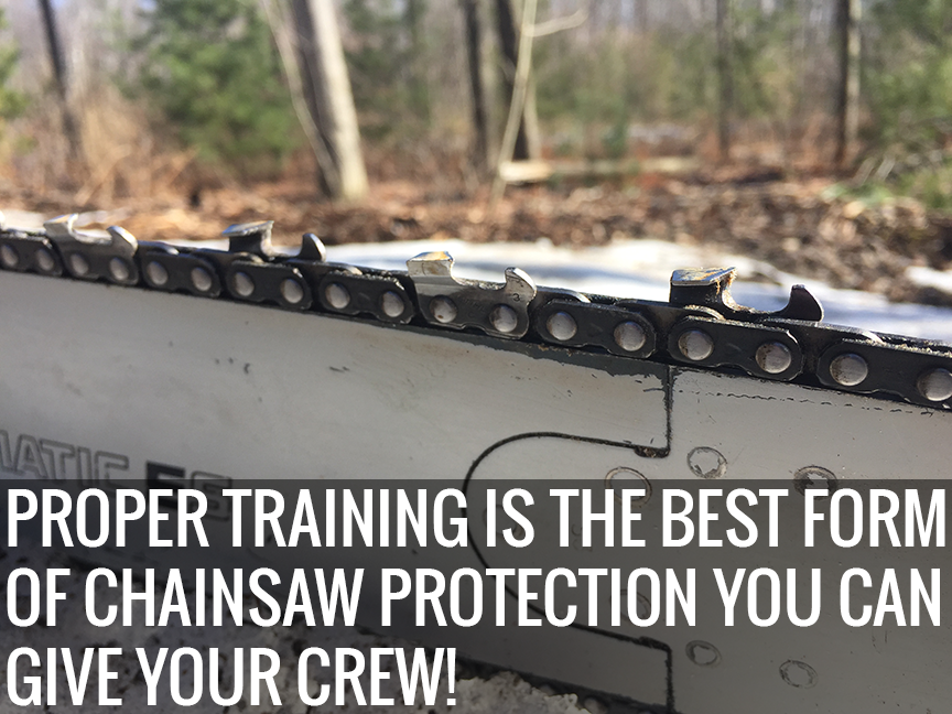 Proper Use of Cutting Tools: Chainsaw Training and Handsaw Safety