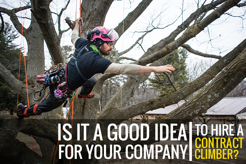 Is Hiring a Contract Climber a Good Idea For Your Company?