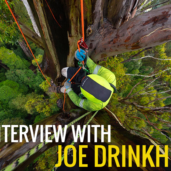 Interview with MIGrove Founder Joe Drinkhorn