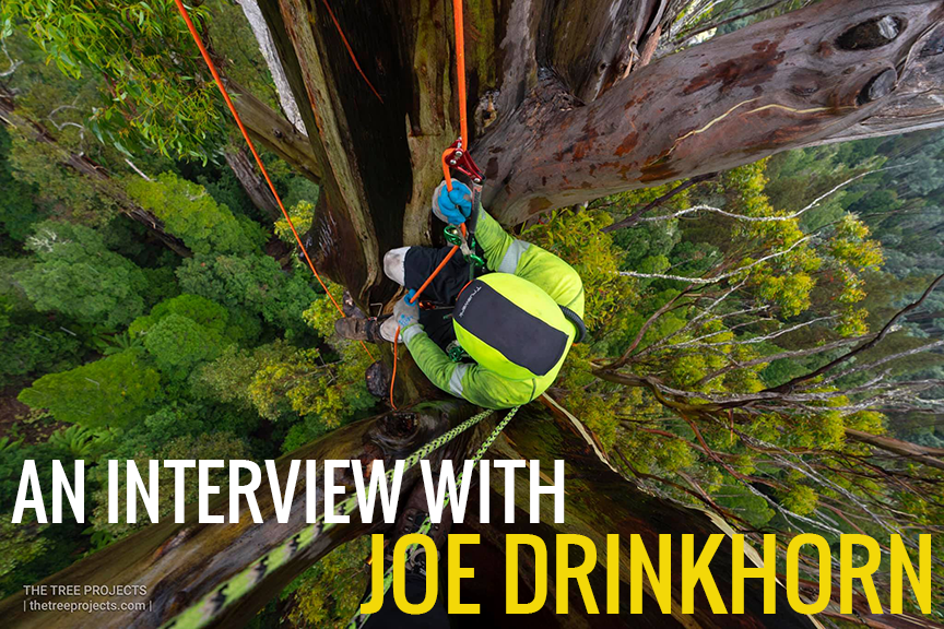 Interview with MIGrove Founder Joe Drinkhorn