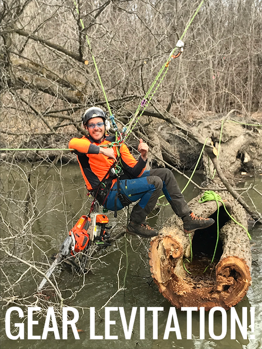 Further Adventures on Belle Isle: Jake Carufel of Canopy Climber Tree Care