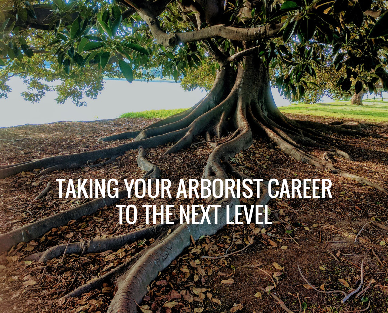 Advancing Your Arboristry Career