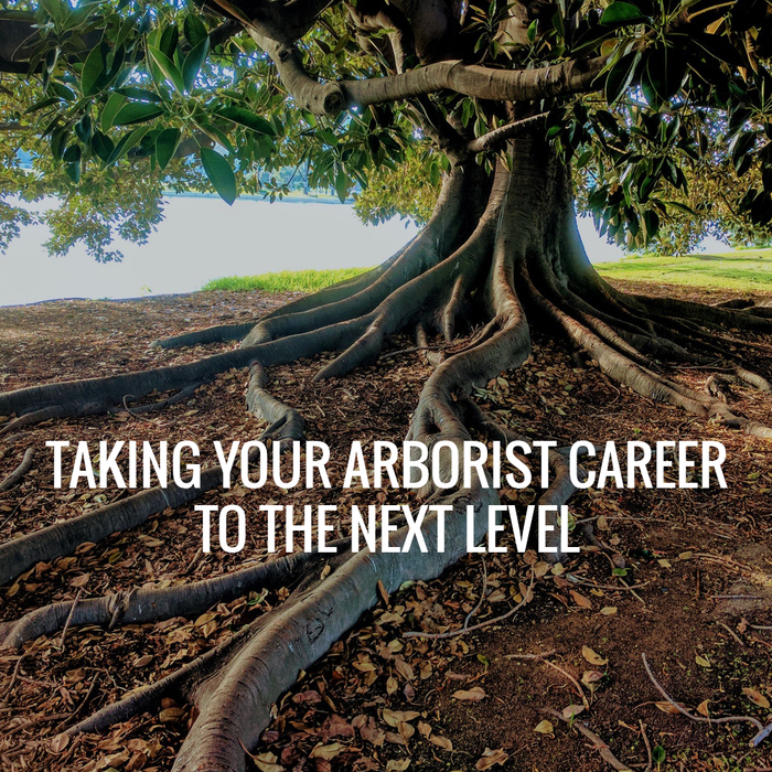 Advancing Your Arboristry Career