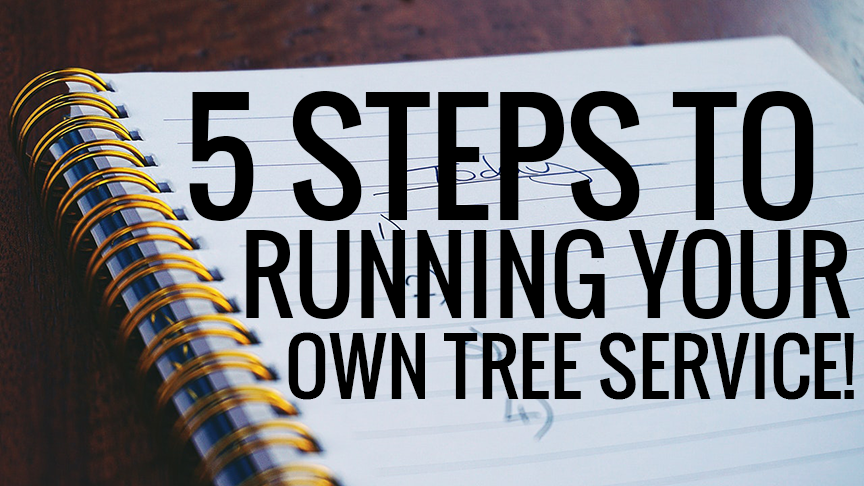 5 Steps for Starting Up Your Own Tree Service
