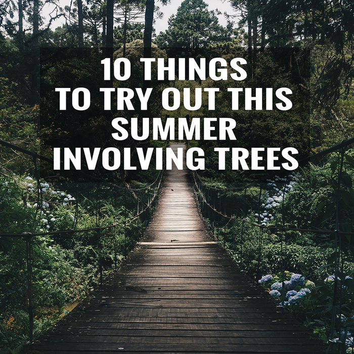 10 Summer Activities with Trees