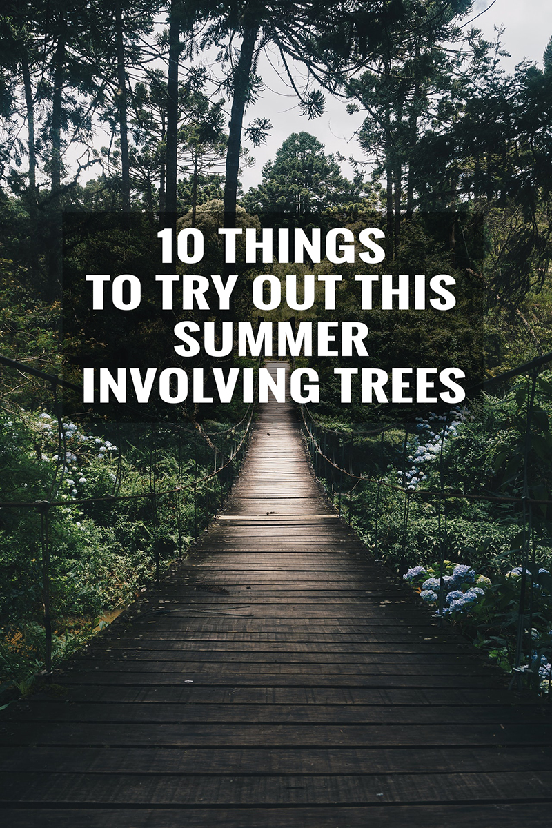 10 Summer Activities with Trees