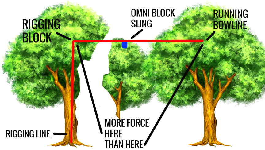 Utilizing Span Rigging to Create Rigging Points — Bartlett Arborist Supply