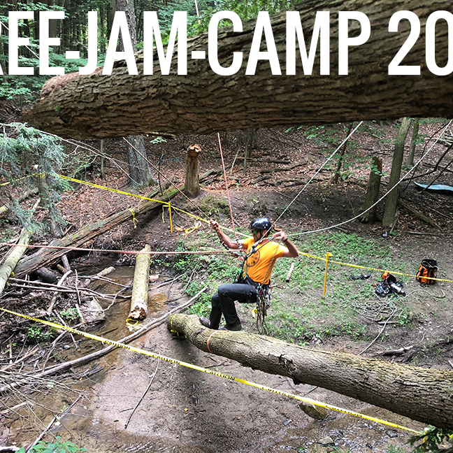 The Competition and Camaraderie of Tree Jam Camp