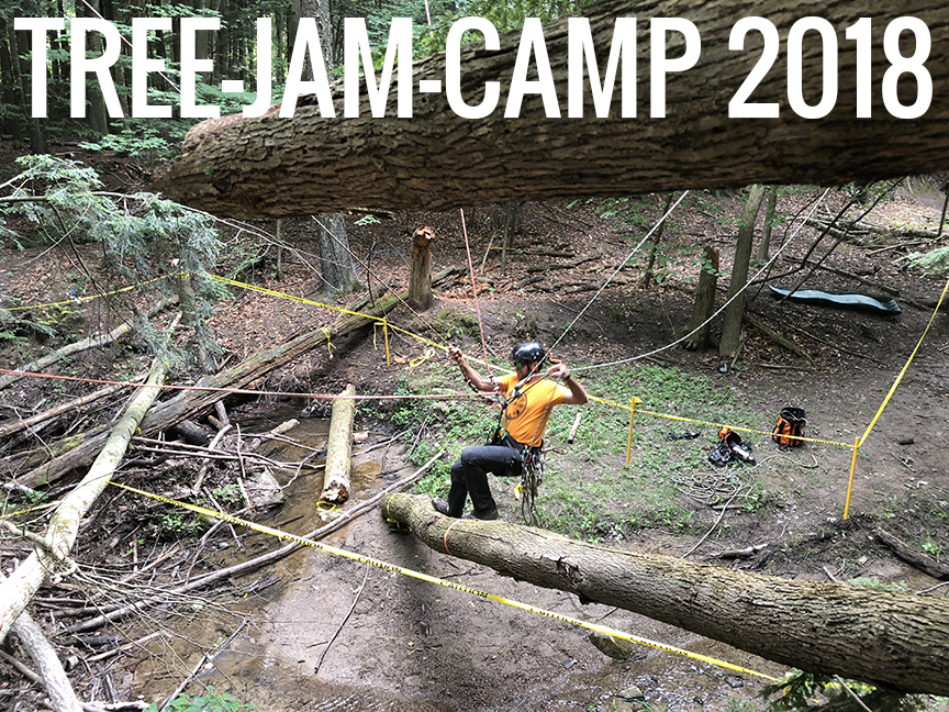 The Competition and Camaraderie of Tree Jam Camp