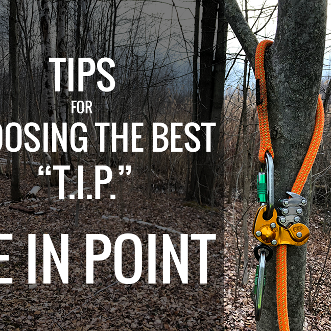 Choosing Your Tie-In Point for Tree Climbing