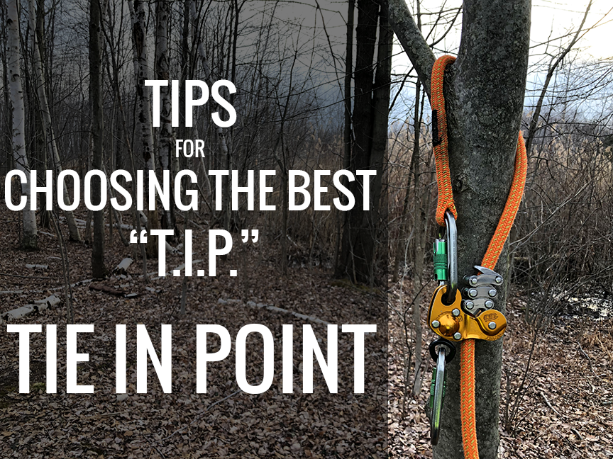 Choosing Your Tie-In Point for Tree Climbing