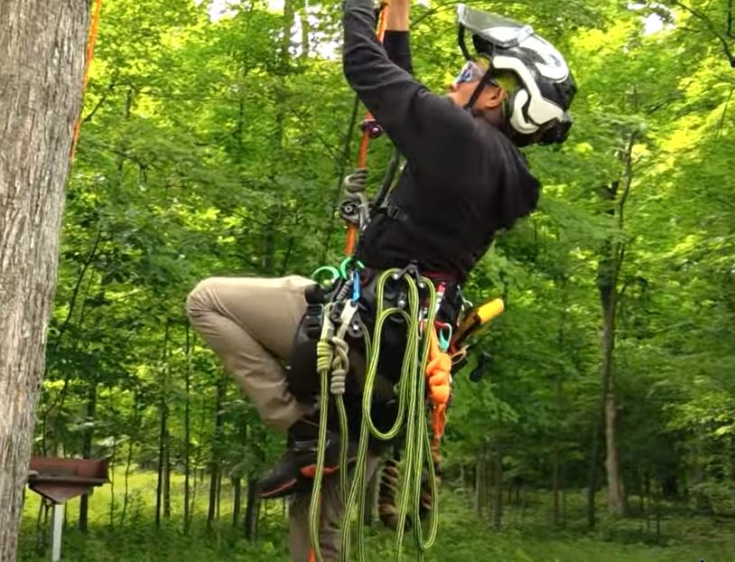 Usando el sistema Frog Walker para ascender — Bartlett Arborist Supply