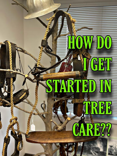 How to Get Started in Tree Care