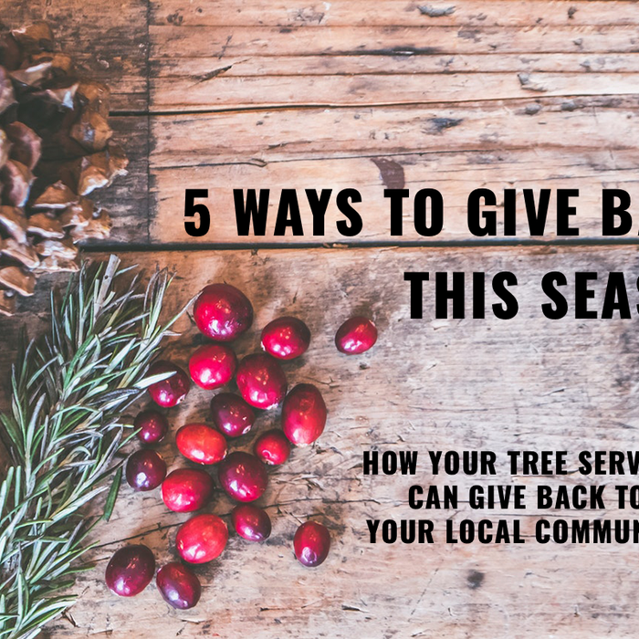 Five Ways to Give Back this Season