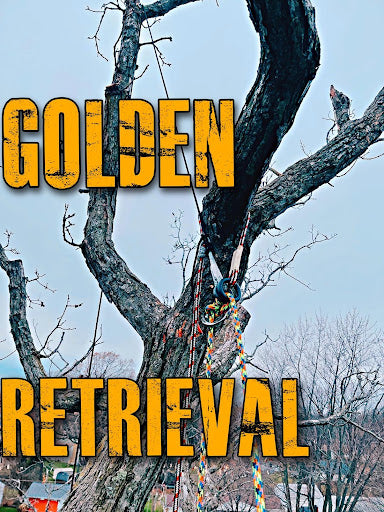 The Golden Retrieval Canopy Anchor
