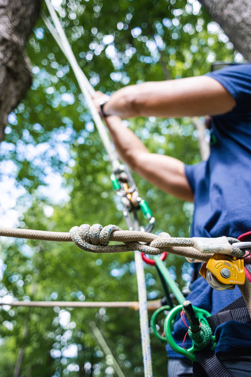 Grab on Tight! Talking about Rope Grabs — Bartlett Arborist Supply