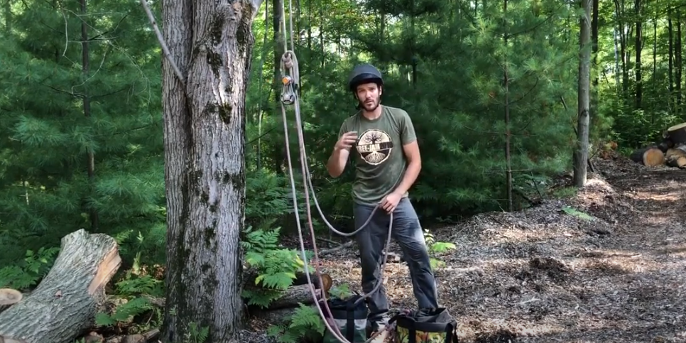 Tree Angel Rigging Point How to set up a quick floating rigging point — Bartlett Arborist Supply