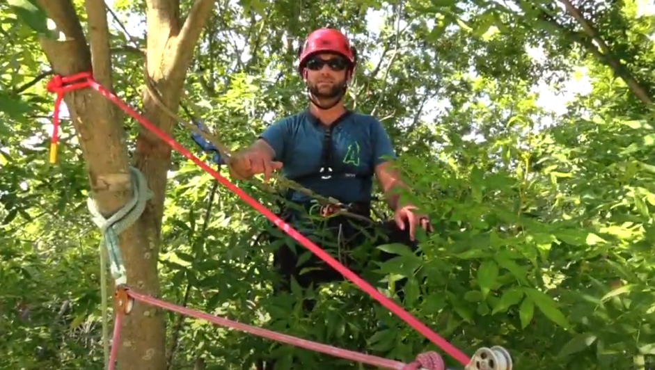 Personal Anchor System Climbing Tendon Nylon Climbing Sling - UIAA/CE ...