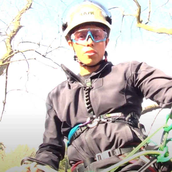 Acollador de Posicionamiento