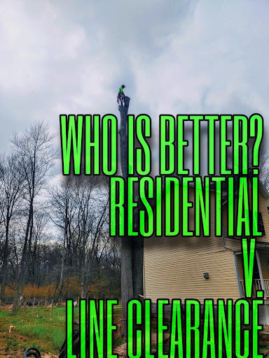 What's Better? Residential or Line Clearance Tree Work? - Bartlett Arborist Supply