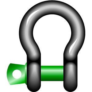 Bow Shackle w/Pin