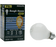 75W Light Bulbs