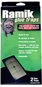 Rat and Mouse Glue Traps