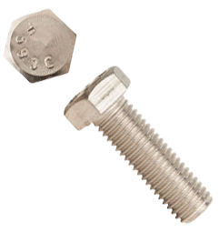 Stainless Steel Hex Bolt